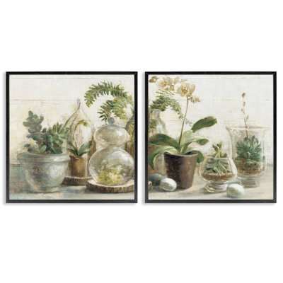 Succulent House Plants Country Charm Green Brown by Danhui Nai - 2 Piece Graphic Art Print Set