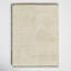 Astell Solid Color Handmade Flatweave Wool Area Rug in Ivory-1559022990