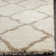 Darrol Hudson Shag Performance Geometric Rug