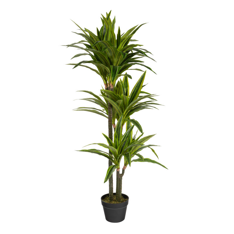 Dracaena artificiel en pot, H 47,24 po x l 26,5 po x P 26,5 po