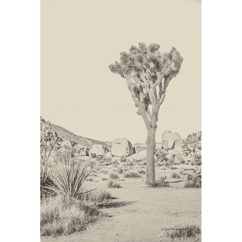 Joshua Tree III Neutral 1 Piece Wrapped Canvas Painting, 30cm H x 20cm W
