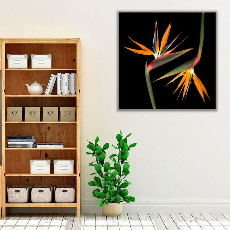 Deux hélicias - reproduction d'art sur toile, H 12 po x l 12 po