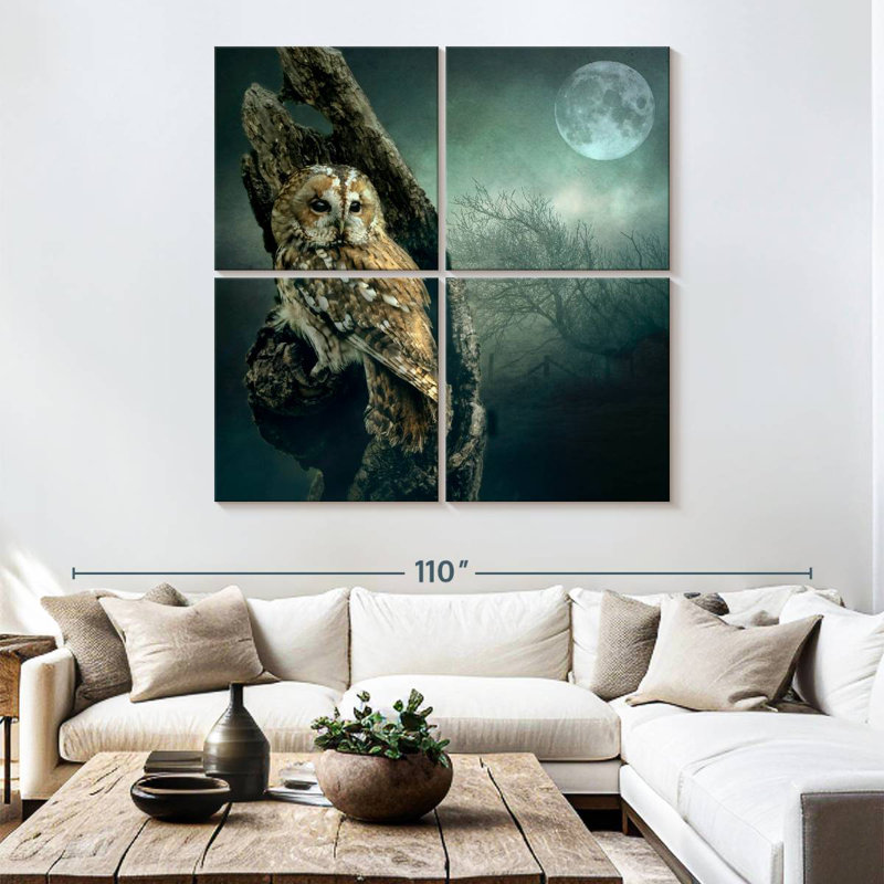 Hibou la nuit