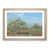 Oak Framed