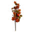  Autumn Spray