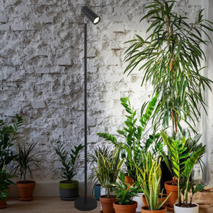 Support pour plantes d'intérieur grand spectre