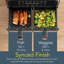 Climatik 8L Dual Air Fryer Air Fryer