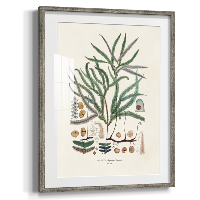 " Bright Boy II ", Yes, White, Distressed Silver Framed Paper