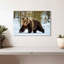 Adulte grizzly-107671336
