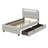 Twin Size Upholstered Platform Bed With LED Frame And 2 Drawers-110439757