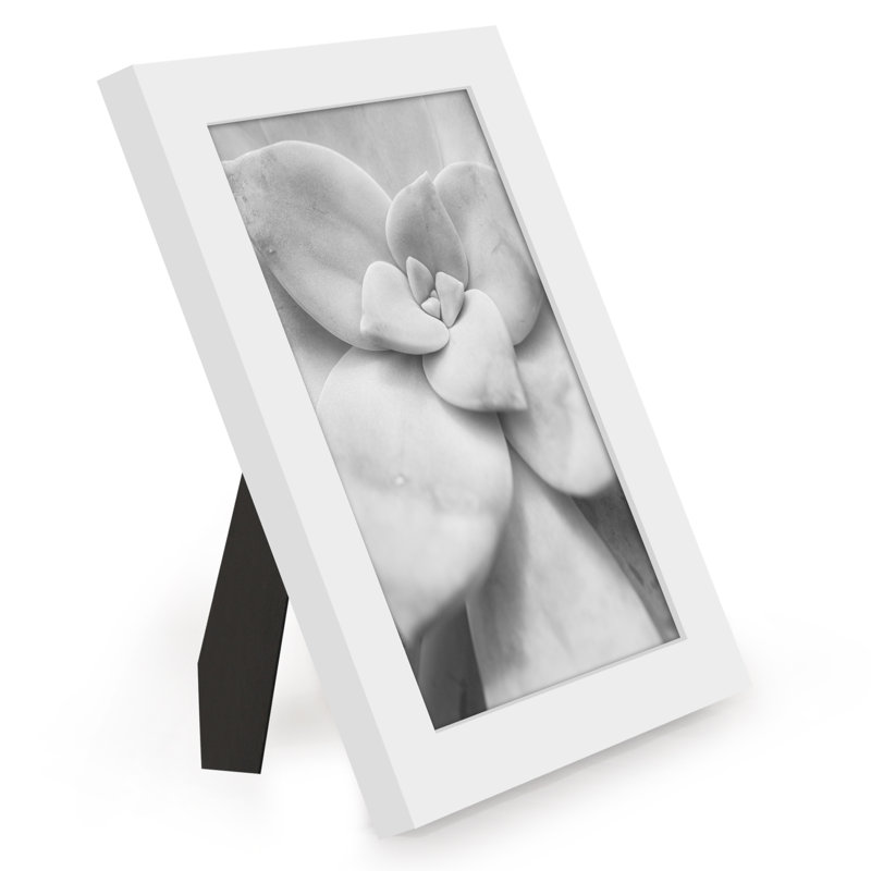 White 5x7 Classic Wall Picture Frame Set of 12