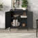 Latitude Run Holz Stainless Steel 2 - Door Accent Cabinet & Reviews ...
