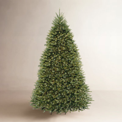 Dunhill 9' Pre-Lit Fir Tree - The Holiday Aisle®