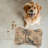 Feline Elegance - Bone Shape Feeding Mat