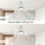 Ventilateur de plafond moderne de 66 pouces avec lumière à DEL à intensité variable et 8 pales en ABS avec télécommande et moteur à courant continu réversible pour le bureau personnel-1276021606-1276021609