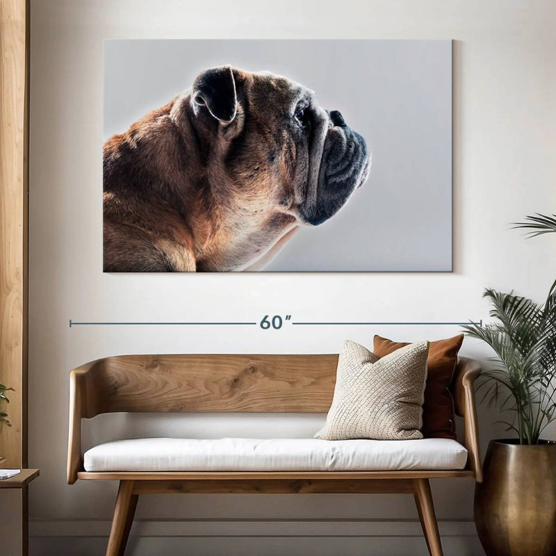 Brampt Dog Side Profile, 34" H x 51" W