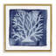 Corail blanc sur cadre flottant indigo, design par Patti Bishop-918654493-918654471