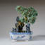 Genuine Green Aventurine Bonsai Tree in Square Ceramic Pot (13")