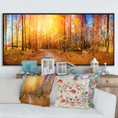 " Sunlight in Autumn Forest " Color Photography Print