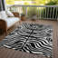 Tapis Chayden-1262227148