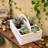 Wood Desk Organizer-2030271142