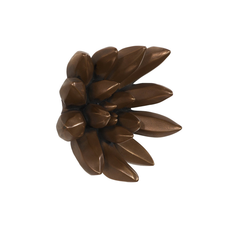 «Compactum», art mural succulent, bronze impérial