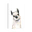 «Llama» par Mercedes Lopez Charro - reproduction d'art-52540793-52540794-52540802