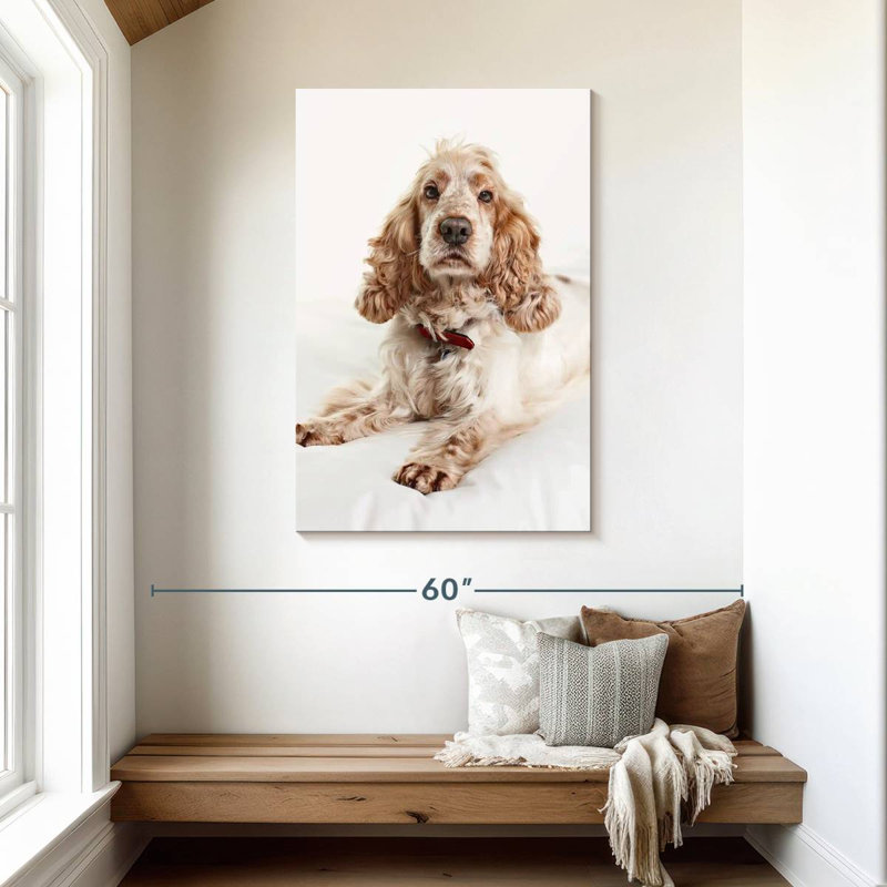 Resting Cocker Spaniel, 45" H x 30" W