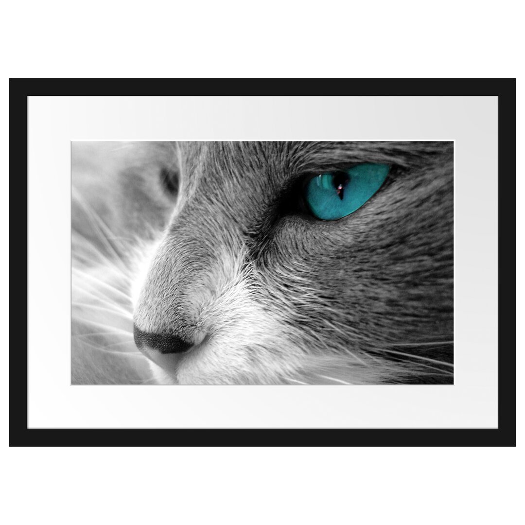 Gerahmtes Poster Katze mit Augen