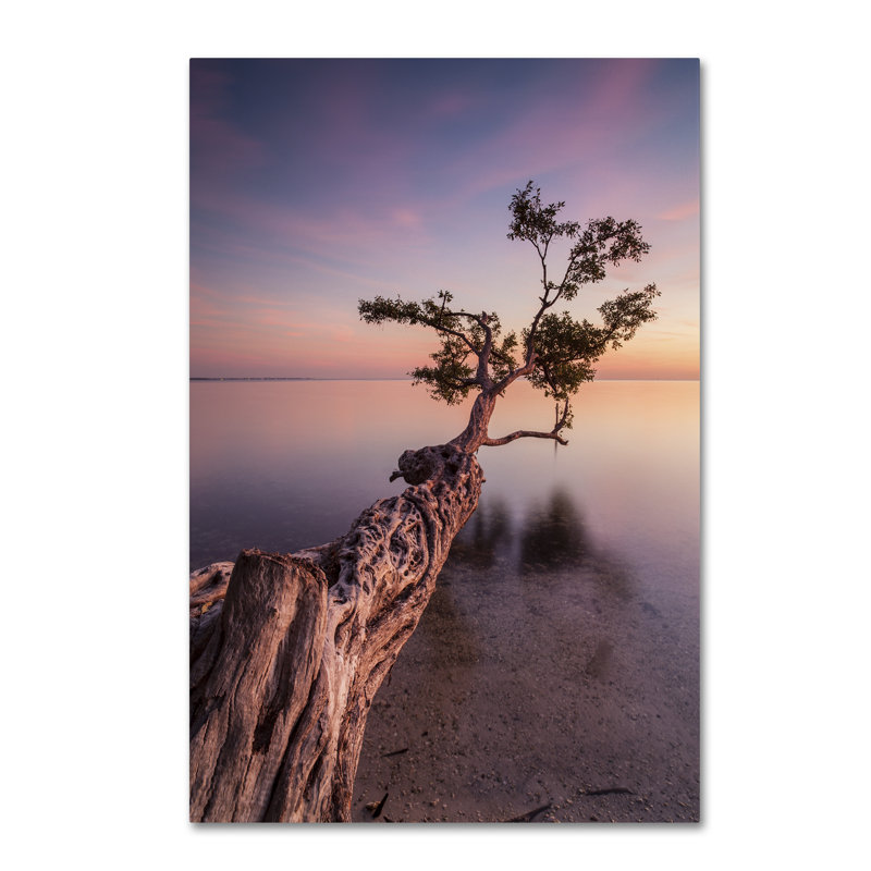 Moises Levy Water Tree IV Black and White Canvas Print