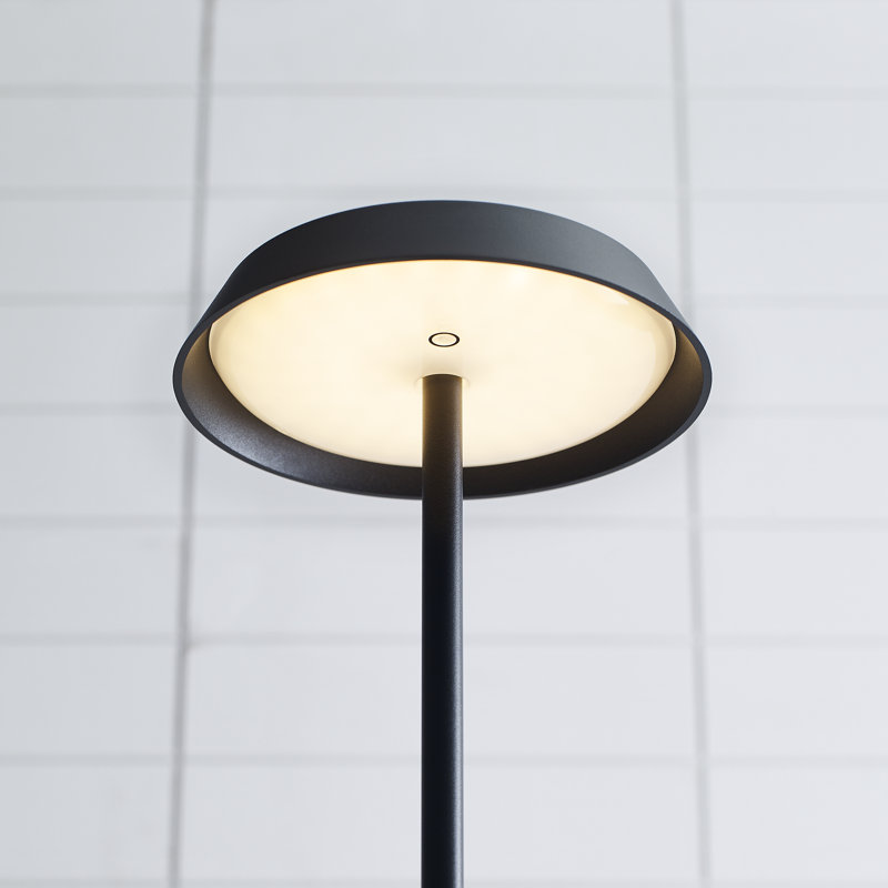 Tepa Medium Rechargeable Floor Lamp, Black