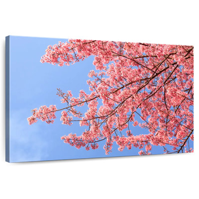 Fleurs de cerisier Harnek