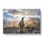 King Penguin - Wrapped Canvas-56629129