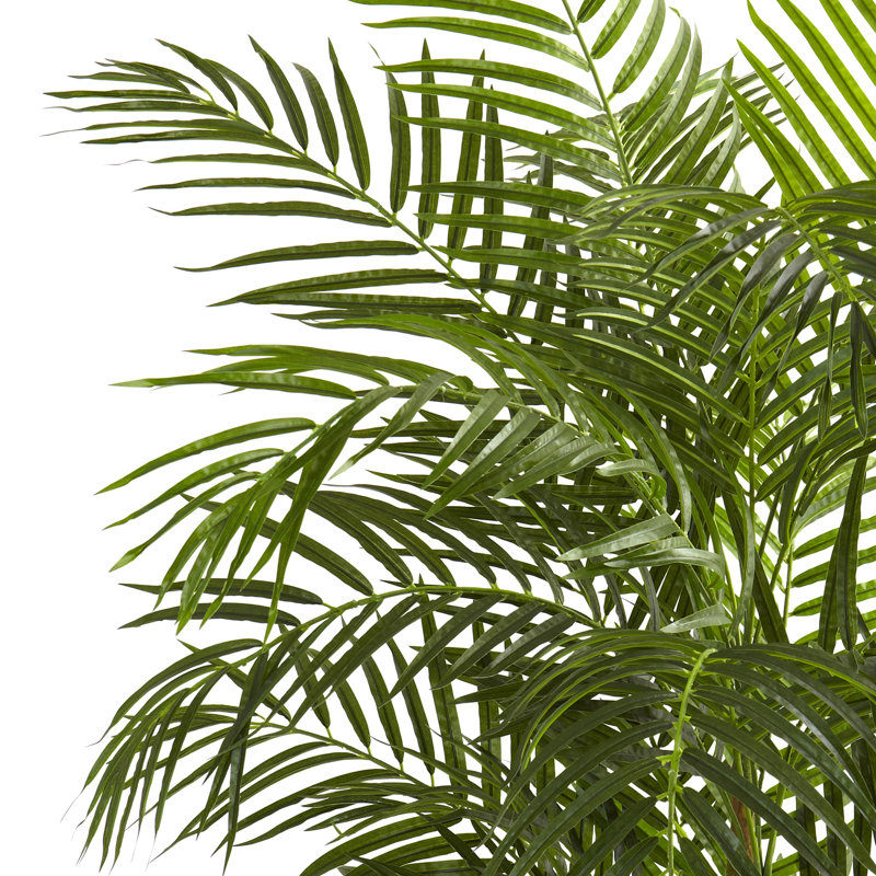 Areca Palm Tree in Pot, 30" H x 24" W x 24" D
