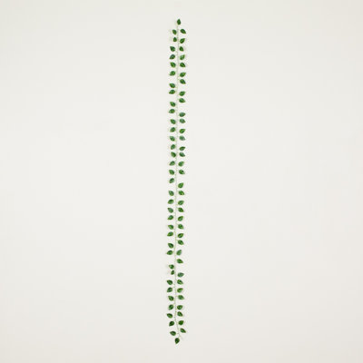 7 pi Guirlande artificielle Dieffenbachia - ensemble de 24