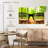 Alcaraz Forest Vision-108007137