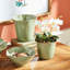 Marcel Handmade Ceramic Pot Planter - Set of 2