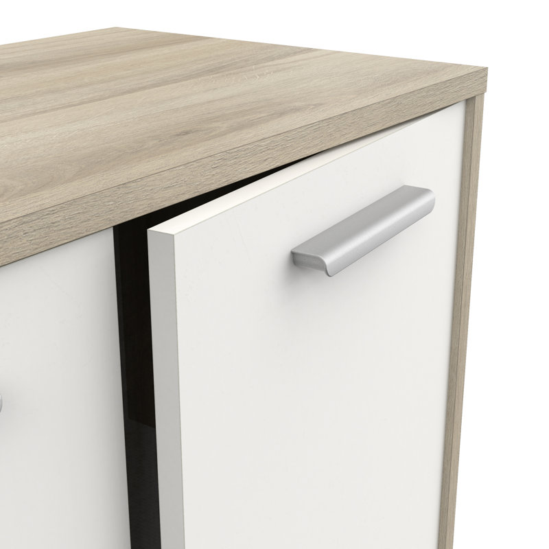 Birkley 2 - Door Standard Accent Cabinet
