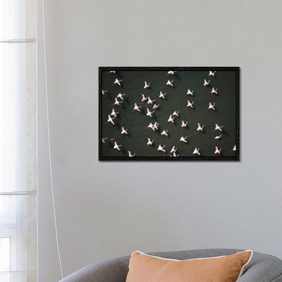 Lesser Flamingo Flock Taking Flight From The Surface Of A Lake, Kenya II by Tim Fitzharris - Gallery-Wrapped Canvas Giclée on Canvas
