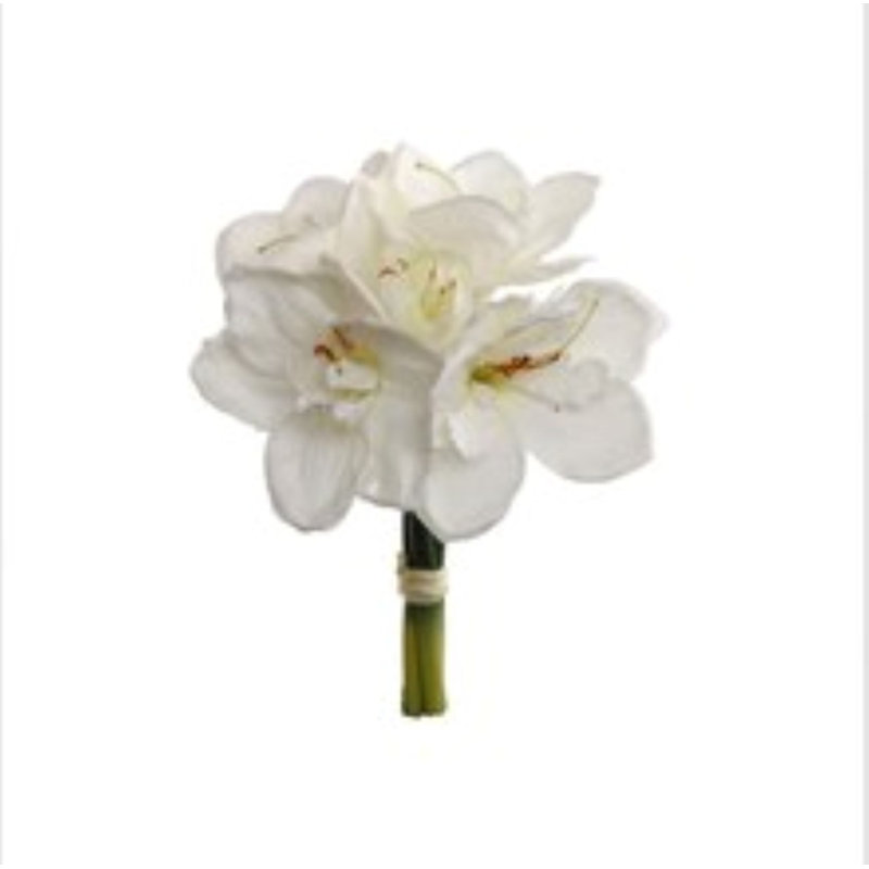 12.5" Amaryllis Bouquet - 3 Pack