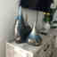 Customer photo 3 of 6