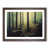 Walnut Framed