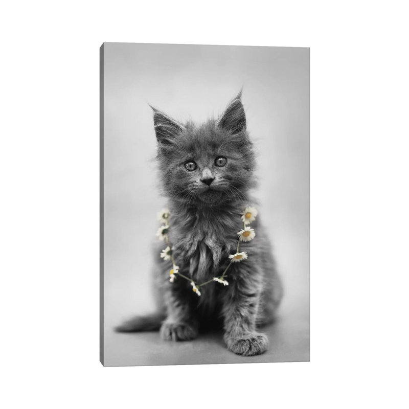 Lara 1 Piece Wall Art on Canvas, 30.48 cm H x 45.72 cm W, Wrapped Canvas