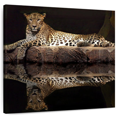 Brampt Leopard Water Reflection