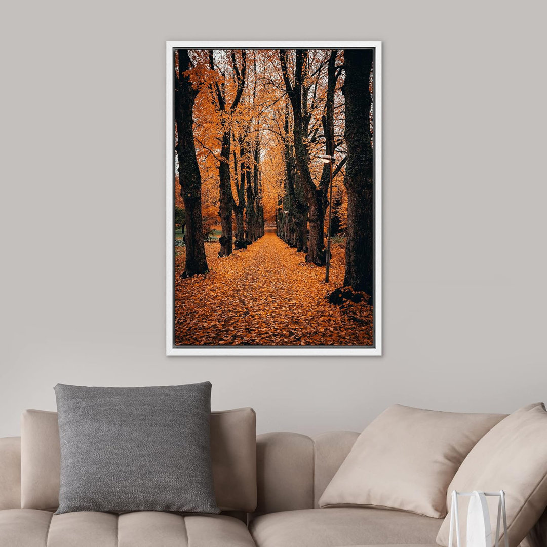 Autumn Fall " Orange Autumn Garden Path Nature Forest Trees " IDEA4WALL Overall 