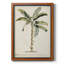 Toile encadrée Banana Palm II - prête à être accrochée-990038803