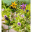 Piquet de jardin Laanthony-814196996