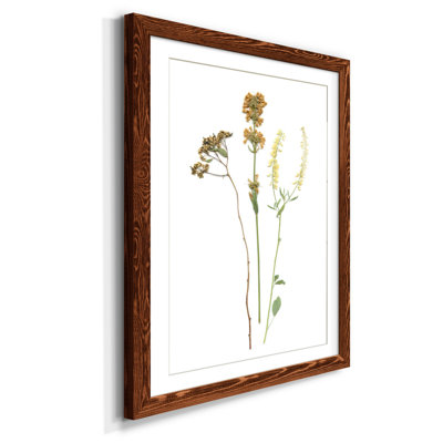 Pressed Botanical III - Cadre photo, reproduction d'art sur papier