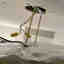 Customer photo 7 of 8