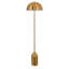Hubbell 152.5cm Gold Novelty Floor Lamp